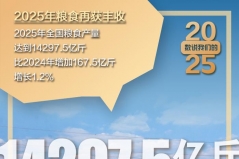 2025“三农”成绩单丨精耕良田提质效 厚植沃野育新机