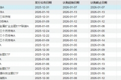 公募新发产品募集提速，开年以来已有6只基金“一日售罄”！ ...