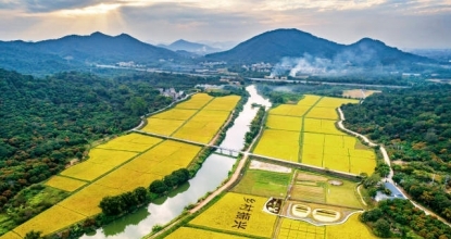 “百千万工程”：向着“五年显著变化、十年根本改变”进军 ...