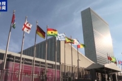 联合国安理会将于12日召开乌克兰局势紧急会议