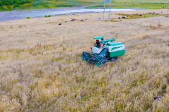 西藏索县：索曲河畔绘就乡村振兴和美画卷