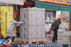 集市人气旺、年宵花争艳 “年货消费”活力充沛激发经济增长新动能 ...