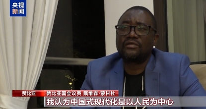 视频丨国际人士：中国发展经验值得其他国家学习借鉴