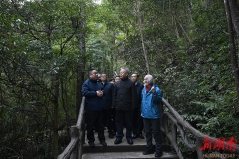 沈晓明赴郴州市开展巡林工作