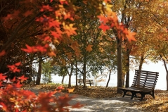 跟着电影去秋游｜这份精选秋日电影旅行地指南，请查收！