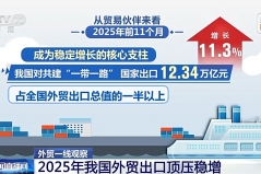 外贸一线观察丨向新向优、更加多元！2025年我国外贸进出口特点显著 ...