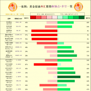 一张图：2024/09/11黄金原油外汇股指"枢纽点+多空占比"一览 ...