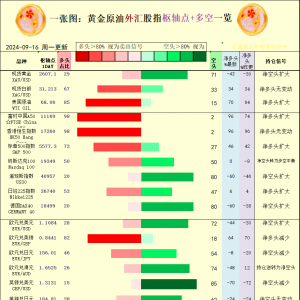 一张图：2024/9/16黄金原油外汇股指“枢纽点+多空持仓信号”一览 ...