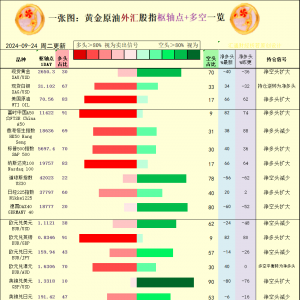 一张图：2024/9/24黄金原油外汇股指“枢纽点+多空持仓信号”一览 ...