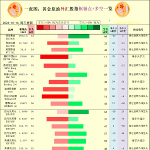 一张图：2024/10/16黄金原油外汇股指“枢纽点+多空持仓信号”一览 ...