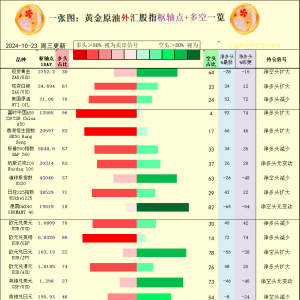 一张图：2024/10/23黄金原油外汇股指“枢纽点+多空持仓信号”一览 ...