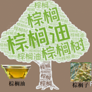 【海通期货】10月24日晨间策略