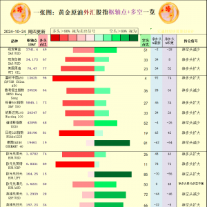 一张图：2024/10/24黄金原油外汇股指“枢纽点+多空持仓信号”一览 ...