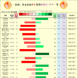 一张图：2024/10/25黄金原油外汇股指“枢纽点+多空持仓信号”一览 ...