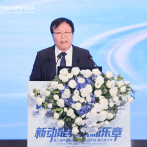 “双新”政策激活拍卖模式：成交额连续5年创新高，新能源二手车拍卖渐成风口 ...