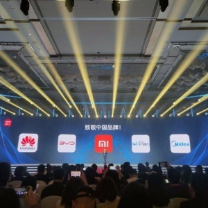 叶国富致敬华为、比亚迪、小米 称“它们是这个时代最伟大的中国品牌” ...