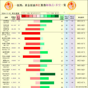一张图：2024/11/1黄金原油外汇股指“枢纽点+多空持仓信号”一览 ...
