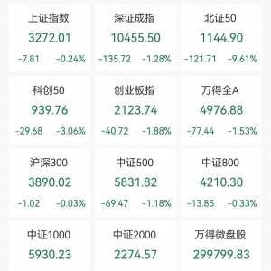 A股收评：三大指数下跌，创业板指跌1.88%北证50跌9.61%！稀土永磁、医药商业走高，超4 ...