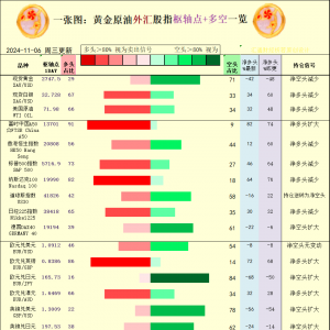 一张图：2024/11/6黄金原油外汇股指“枢纽点+多空持仓信号”一览 ...
