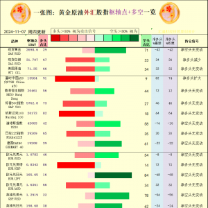 一张图：2024/11/7黄金原油外汇股指“枢纽点+多空持仓信号”一览 ...