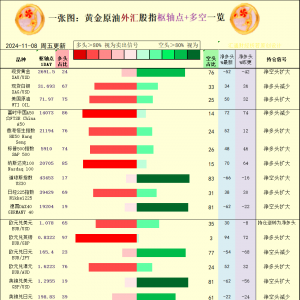 一张图：2024/11/8黄金原油外汇股指“枢纽点+多空持仓信号”一览 ...