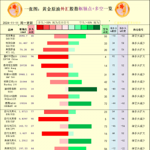 一张图：2024/11/11黄金原油外汇股指“枢纽点+多空持仓信号”一览 ...