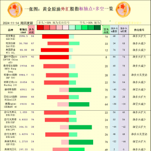 一张图：2024/11/14黄金原油外汇股指“枢纽点+多空持仓信号”一览 ...