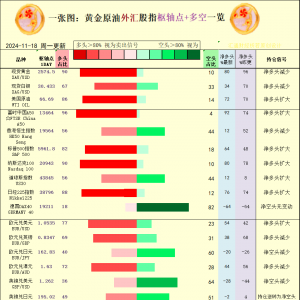 一张图：2024/11/18黄金原油外汇股指“枢纽点+多空持仓信号”一览 ...