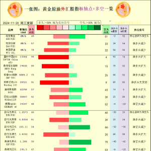一张图：2024/11/20黄金原油外汇股指“枢纽点+多空持仓信号”一览 ...