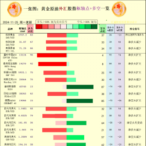 一张图：2024/11/25黄金原油外汇股指“枢纽点+多空持仓信号”一览 ...