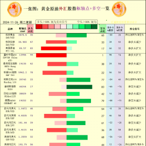 一张图：2024/11/26黄金原油外汇股指“枢纽点+多空持仓信号”一览 ...