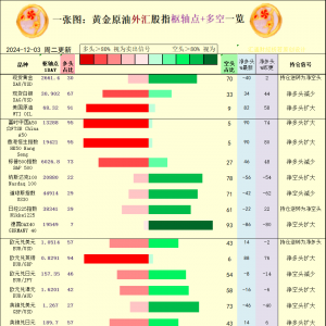 一张图：2024/12/3黄金原油外汇股指“枢纽点+多空持仓信号”一览 ...