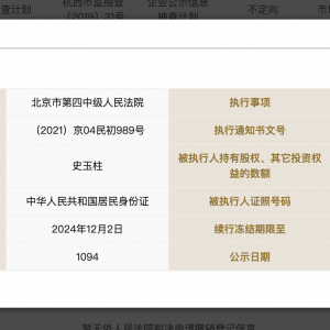 6500万元股权被再次冻结，史玉柱此前已因“人情债”被执行超亿元 ...