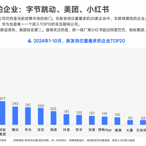 2024找工作哪家强？字节、美团、小红书招聘量最大 ⼤疆、滴滴、华为出海岗⽉薪超6万元 ...