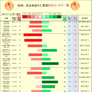 一张图：2024/12/16黄金原油外汇股指“枢纽点+多空持仓信号”一览 ...