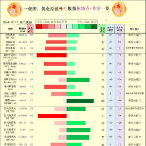 一张图：2024/12/17黄金原油外汇股指“枢纽点+多空持仓信号”一览 ...