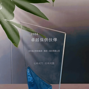 喜报丨威迈斯荣获岚图汽车2024年度“卓越保供伙伴”奖