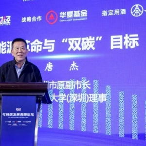 深圳原副市长唐杰：一个世纪前美国人创造了燃油汽车时代，一个世纪后中国人创造了新能 ...