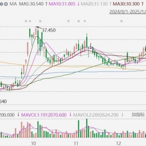 零跑汽车Q4净利润转正，成第二家盈利新势力，2024年营业收入不低于305亿，增长超80%！ ...