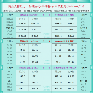 一张图看商品支撑阻力：金银油气+铂钯铜农产品期货(2025/01/24) ...