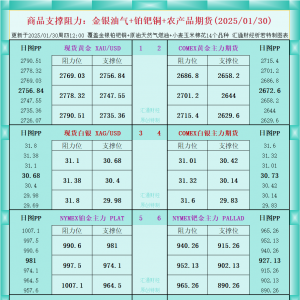 一张图看商品支撑阻力：金银油气+铂钯铜农产品期货(2025/01/30) ...