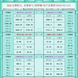 一张图看商品支撑阻力：金银油气+铂钯铜农产品期货(2025/01/31) ...