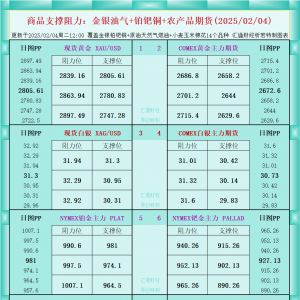 一张图看商品支撑阻力：金银油气+铂钯铜农产品期货(2025/02/04) ...