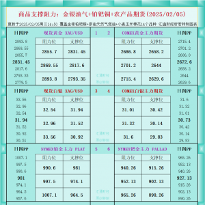 一张图看商品支撑阻力：金银油气+铂钯铜农产品期货(2025/02/05) ...