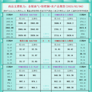 一张图看商品支撑阻力：金银油气+铂钯铜农产品期货(2025/02/06) ...