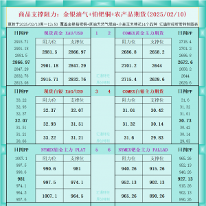 一张图看商品支撑阻力：金银油气+铂钯铜农产品期货(2025/02/10) ...