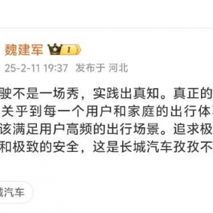 疑似回应比亚迪智驾？长城汽车魏建军：智能驾驶不是一场秀 ...