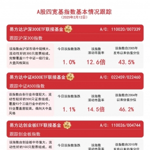 大盘震荡走高，易方达中证A500ETF联接基金（A/C:022459/022460）等产品受关注 ...