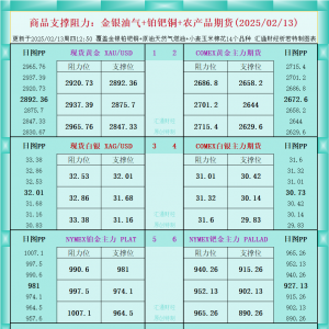 一张图看商品支撑阻力：金银油气+铂钯铜农产品期货(2025/02/13) ...
