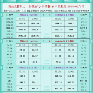 一张图看商品支撑阻力：金银油气+铂钯铜农产品期货(2025/02/17) ...